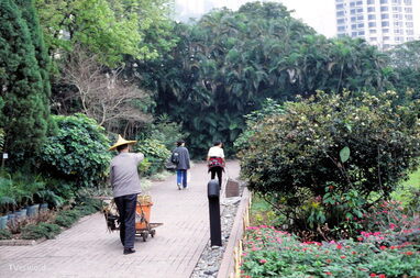 Picture